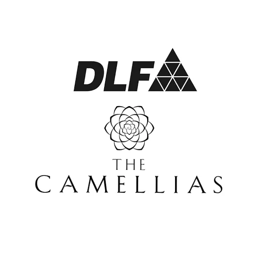 Dlf Camellias logo